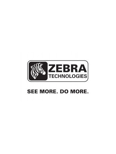 Zebra P1046696-004 Kit convertidor de 300 a 203 DPI - Refacciones C3mayorista.com